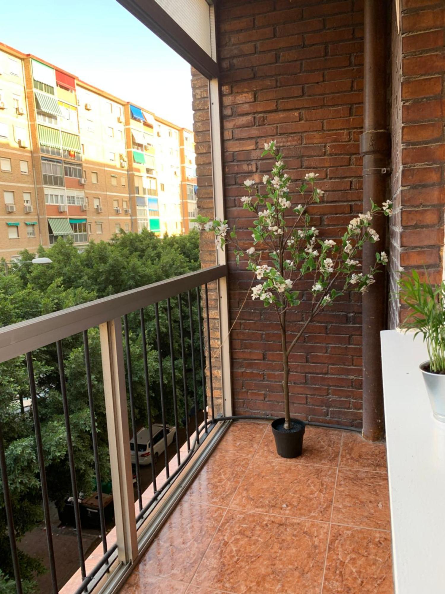 Appartement Bueno, Bonito Y Barato à Málaga Extérieur photo